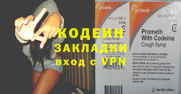 стаф Алзамай