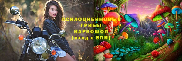 стаф Алзамай